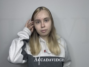 Accadavidge