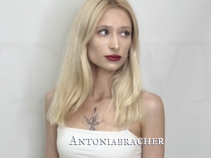 Antoniabracher