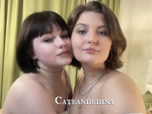 Cateandedina