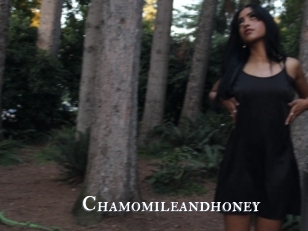 Chamomileandhoney