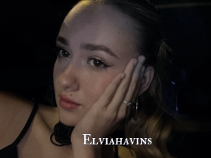 Elviahavins