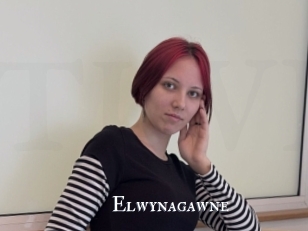 Elwynagawne