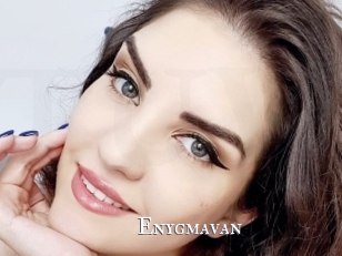 Enygmavan