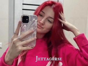 Jettagorse