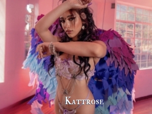 Kattrose