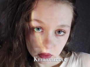 Keeleybiddix