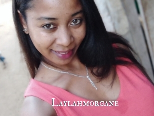 Laylahmorgane