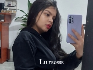 Lilybosse