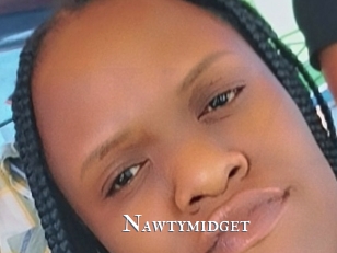 Nawtymidget