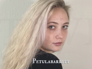 Petulabarritt