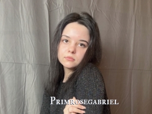 Primrosegabriel