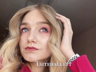 Taitehallett