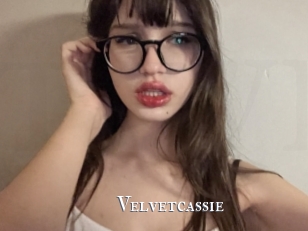 Velvetcassie