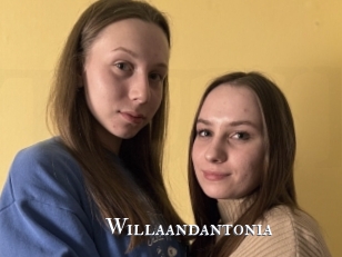 Willaandantonia