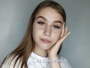 Zeldacannon